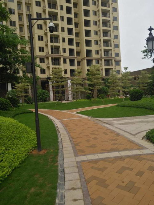 惠州龍光城綠化工程 園林綠化施工的典型案例